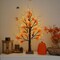 24" Lighted Fall Maple Tree with 72 LED Lights – Artificial Autumn Birch Tree Decor with Maple Leaves, Squirrels & Acorns – USB/Battery Operated Thanksgiving Tabletop Decoration with Timer